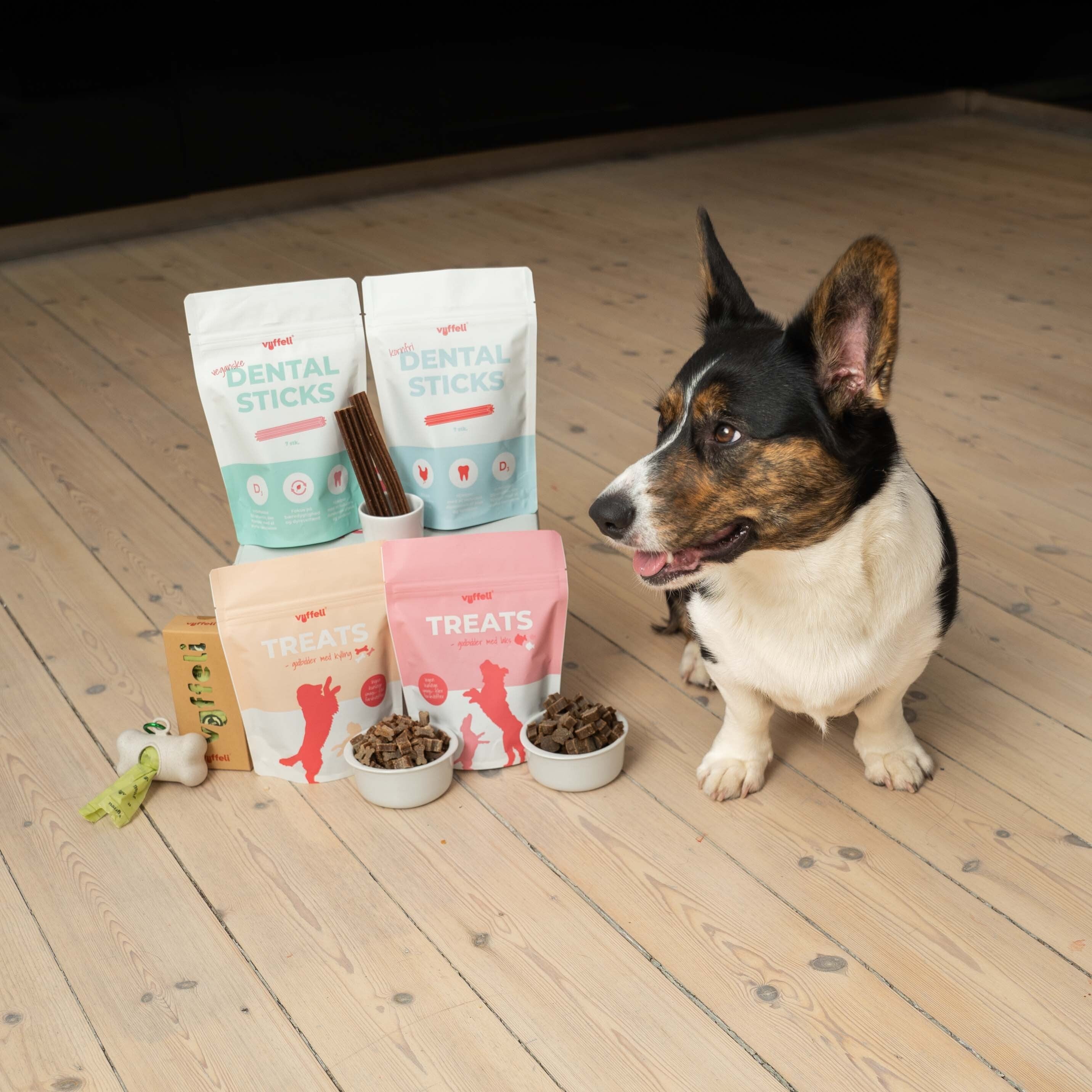 corgi dufter til godbidder og dental sticks